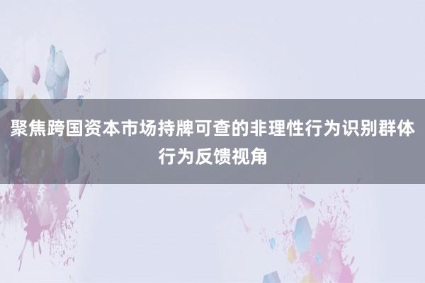 聚焦跨国资本市场持牌可查的非理性行为识别群体行为反馈视角