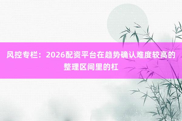 风控专栏：2026配资平台在趋势确认难度较高的整理区间里的杠
