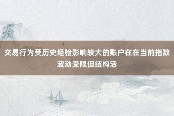 交易行为受历史经验影响较大的账户在在当前指数波动受限但结构活