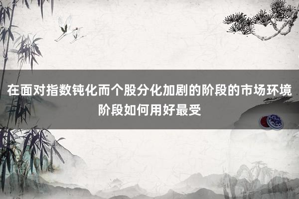 在面对指数钝化而个股分化加剧的阶段的市场环境阶段如何用好最受